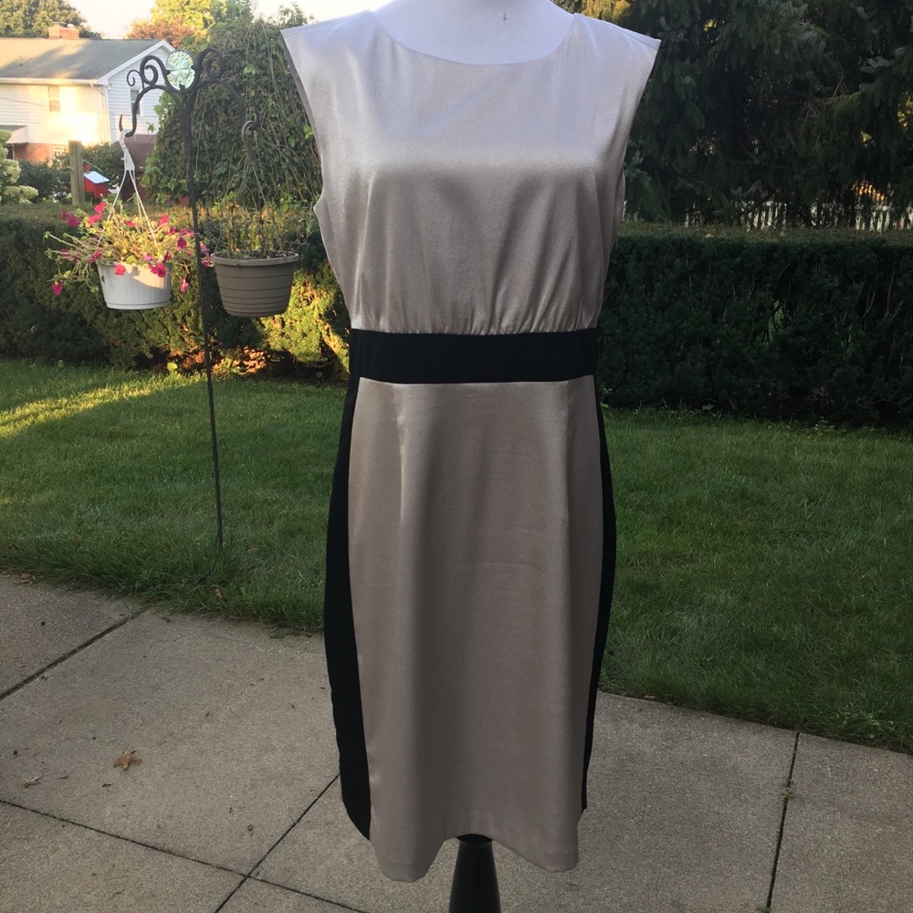 The Limited Satin Gray Sheath with Black Accents